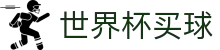 FIFA世界杯买球(中国)官方网站 - 实时比分同步与投注入口